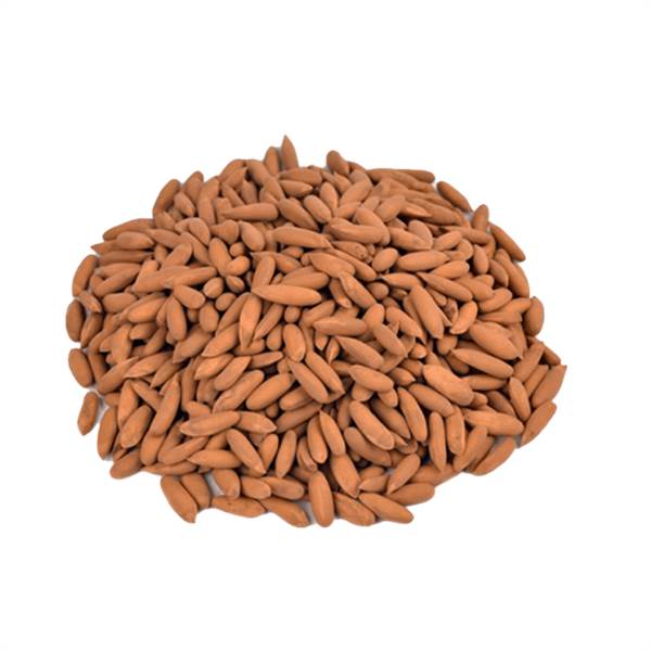 Pine Nuts Imported